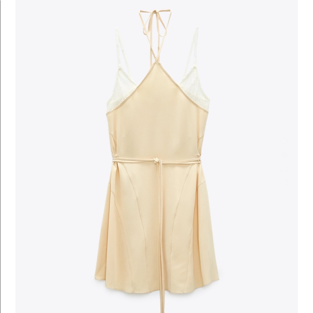 ZARA Combination Lace Dress